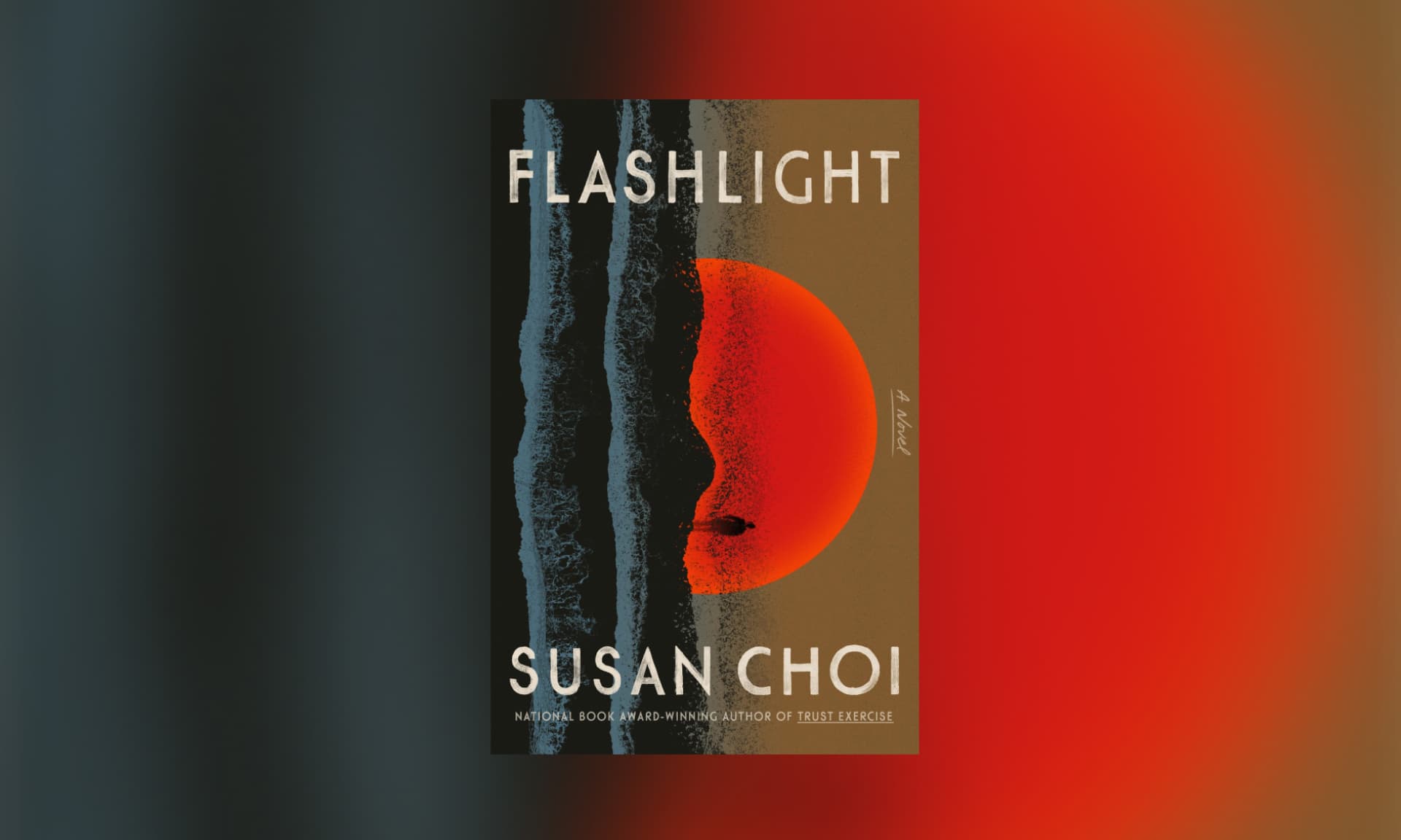 Flashlight by Susan Choi