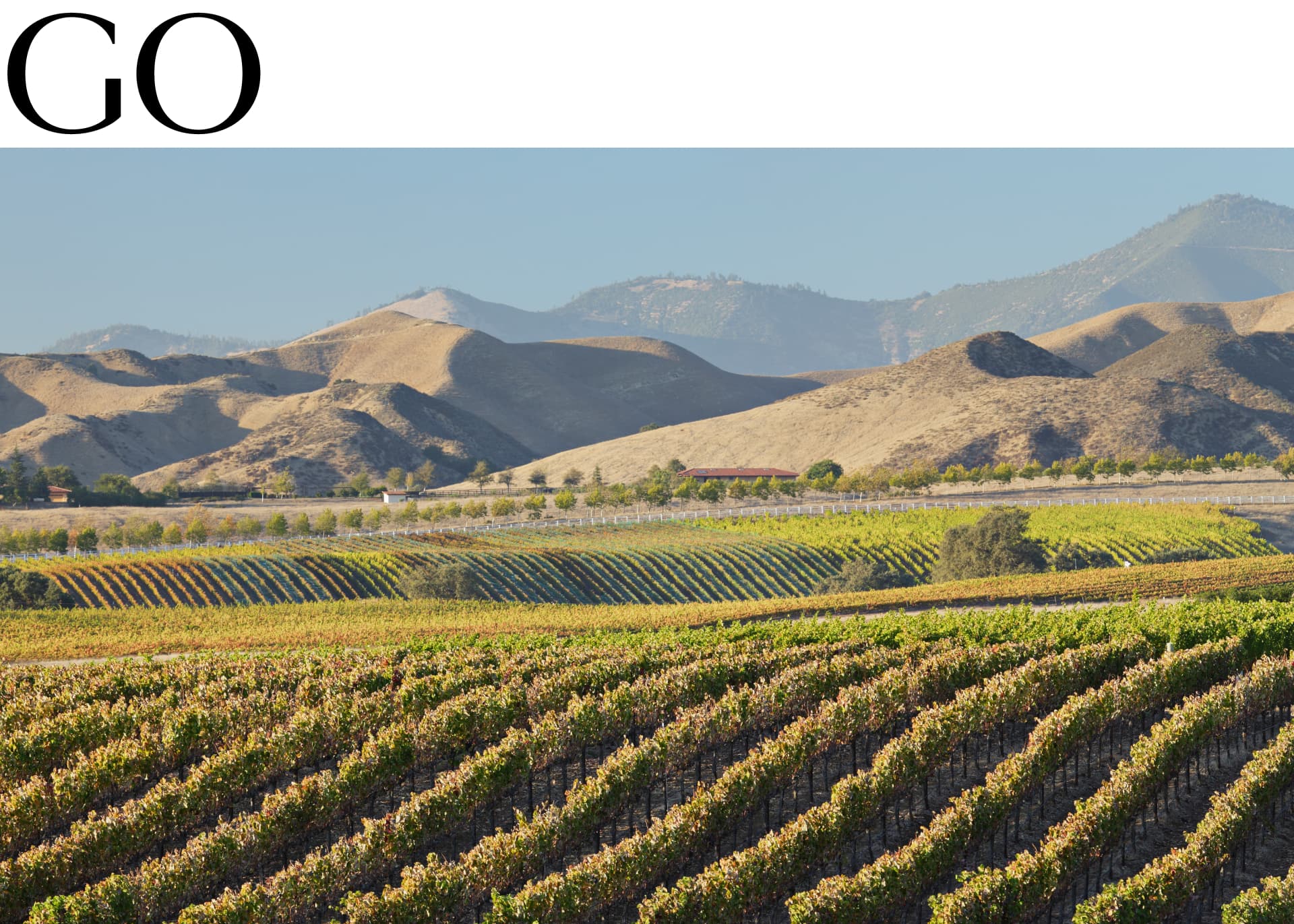 Go: Los Olivos, California